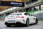 Mercedes-AMG GT R 2017 года (MY)